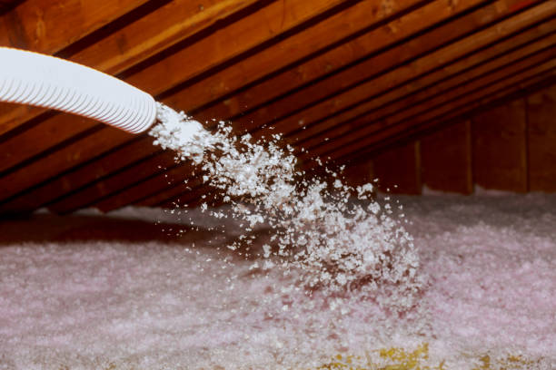 Best Geographic-Specific Insulation Services in Dickinson, ND