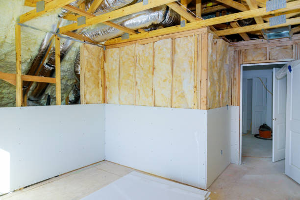 Best Specialized Insulation Services in Dickinson, ND
