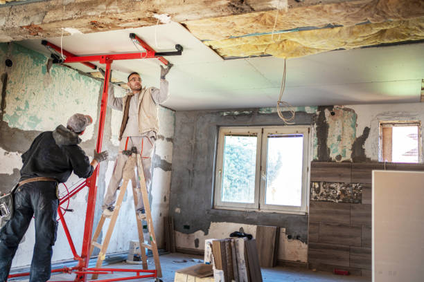 Best Residential Insulation in Dickinson, ND